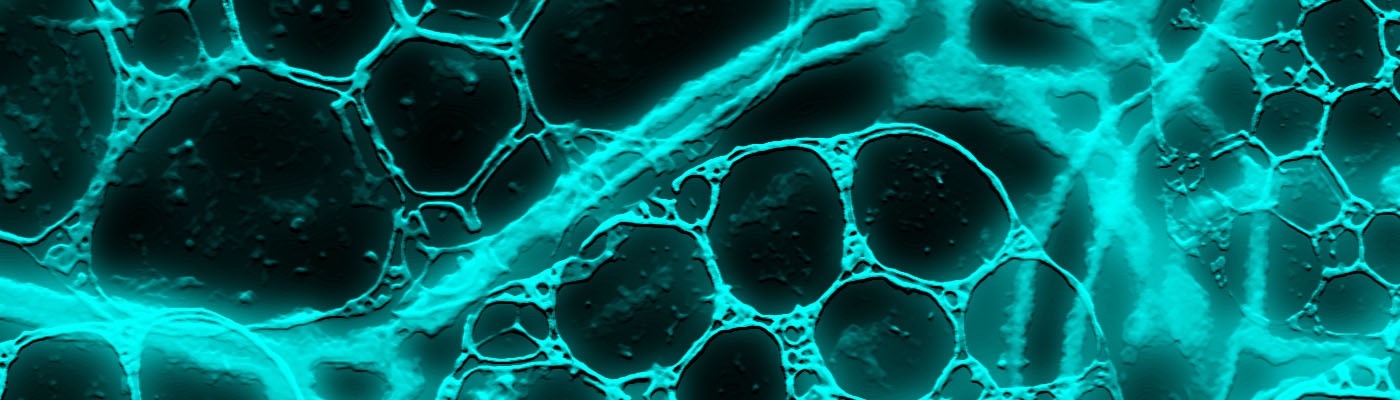 In vitro enzymatic degradation of PCL/HA scaffolds for bone tissue engineering.