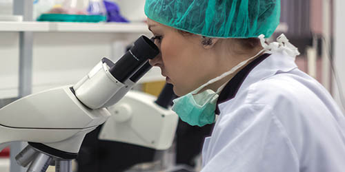 Researcher looking down a microscope.